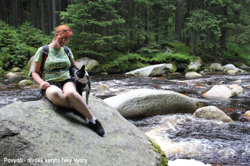 T�i �umavsk� hrady