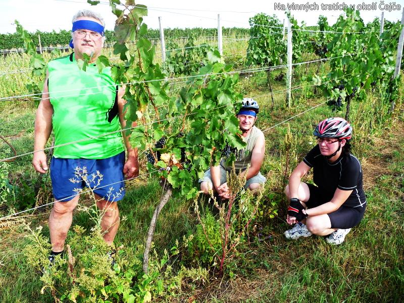 Na kole kolem vinohrad�
