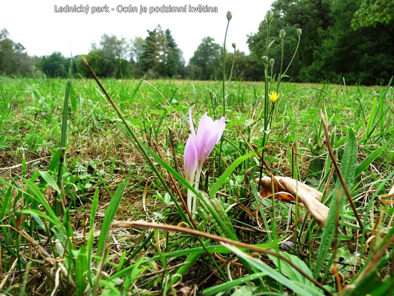 Na kole kolem vinohrad�