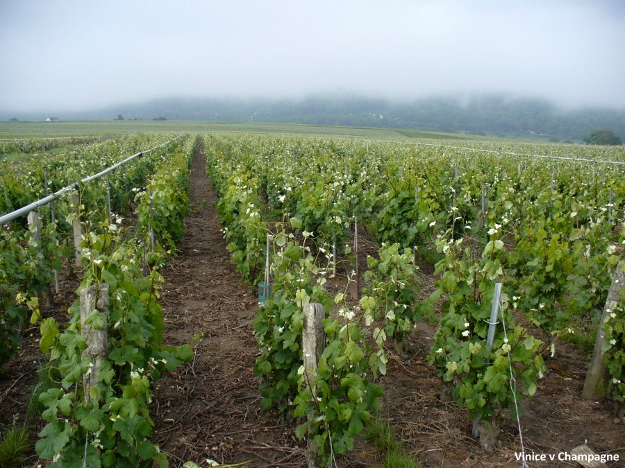 Na kole z Pa��e do �.T��na