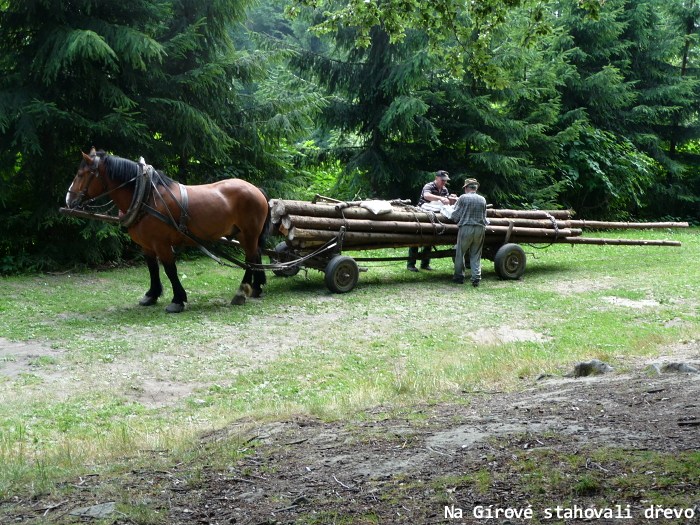 Za g�rovsk� sesuvem