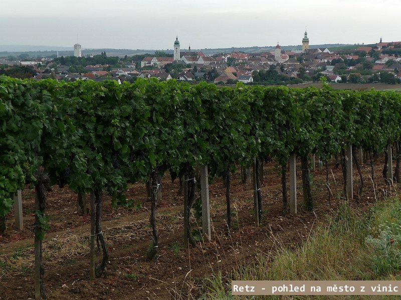 NP Podyj� je jedn�m z nejmlad��ch park� u n�s
