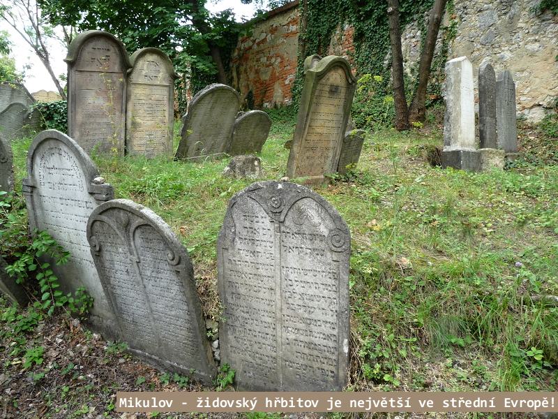 NP Podyj� je na��m nejmlad��m n�rodn�m parkem