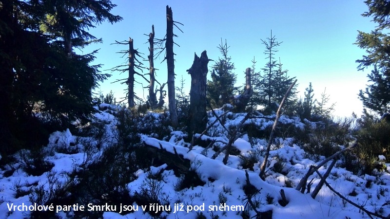 V�stup je t�k�