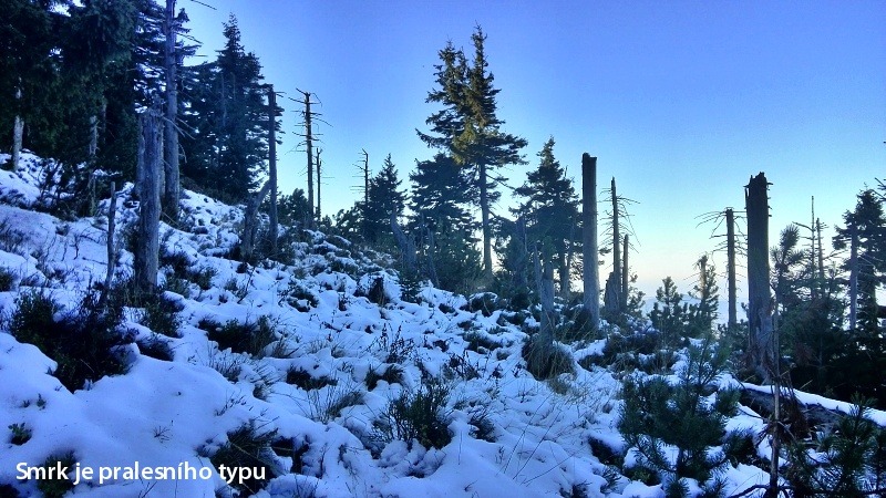 V�stup je t�k�