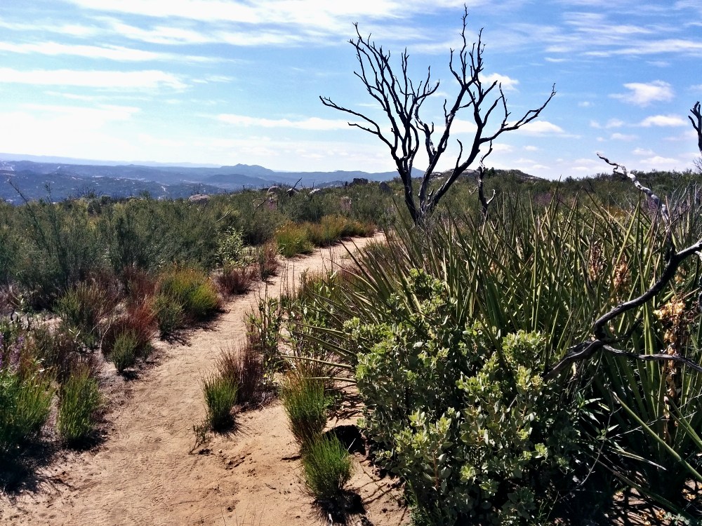 PCT je jedna z nejdel��ch turistick�ch tras na sv�t�!