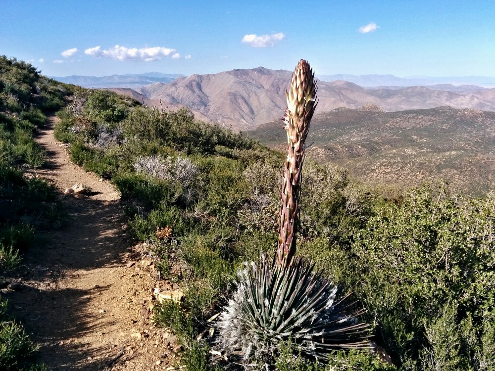 PCT je jedna z nejdel��ch turistick�ch tras na sv�t�!