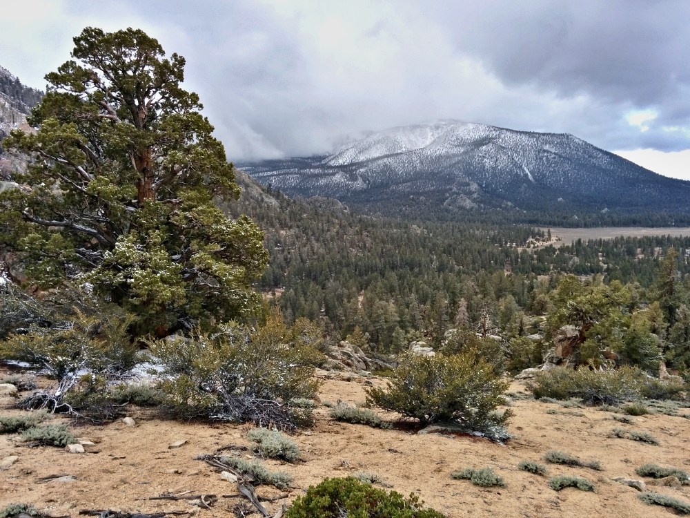 PCT je jedna z nejdel��ch turistick�ch tras na sv�t�!