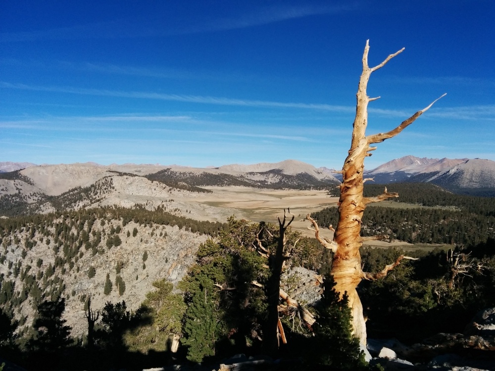 PCT je jedna z nejdel��ch turistick�ch tras na sv�t�!