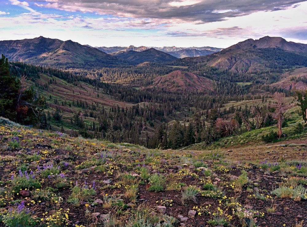 PCT je jedna z nejdel��ch turistick�ch tras na sv�t�!