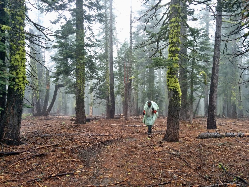 PCT je jedna z nejdel��ch turistick�ch tras na sv�t�!