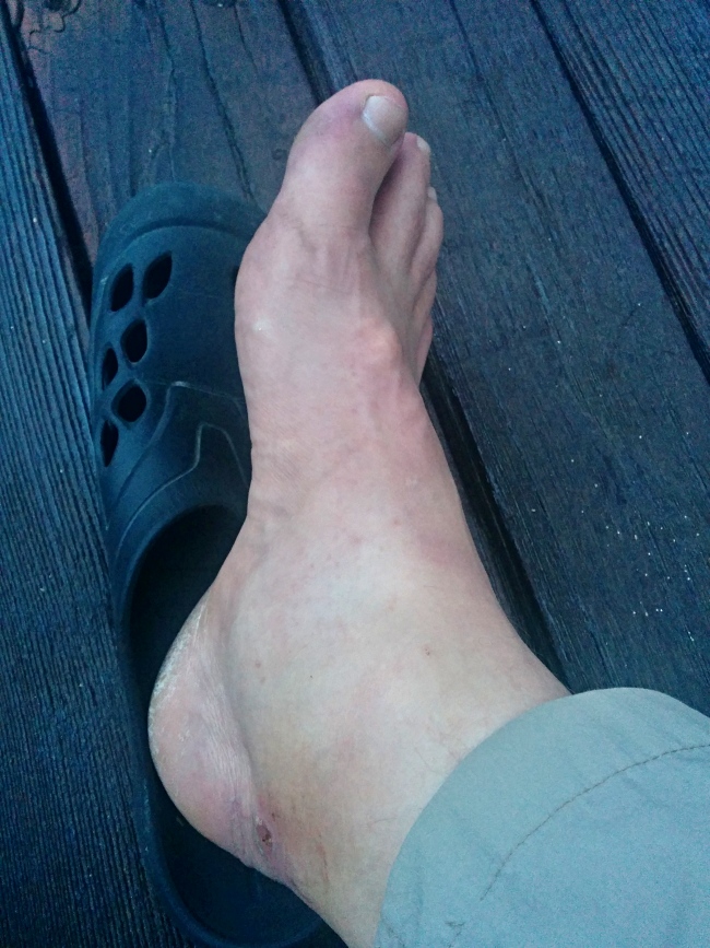 PCT je jedna z nejdel��ch turistick�ch tras na sv�t�!