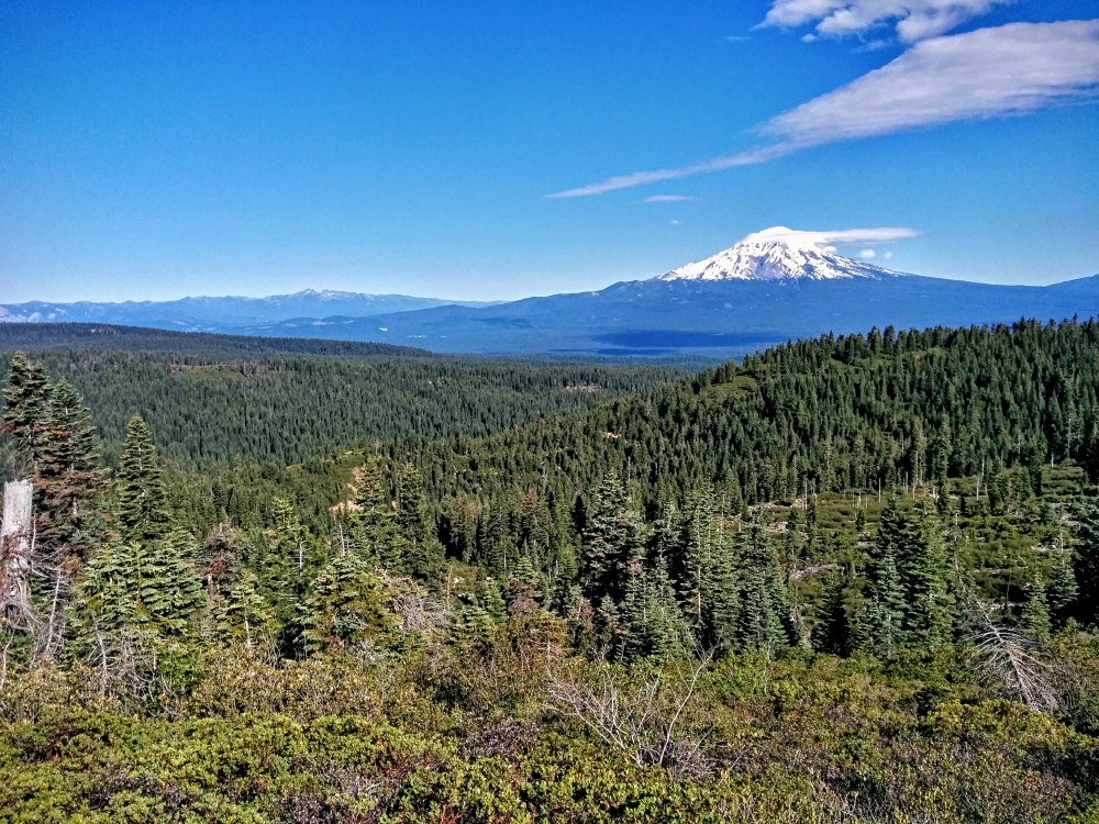 PCT je jedna z nejdel��ch turistick�ch tras na sv�t�!