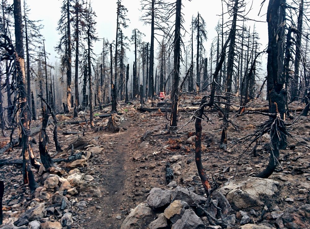 PCT je jedna z nejdel��ch turistick�ch tras na sv�t�!