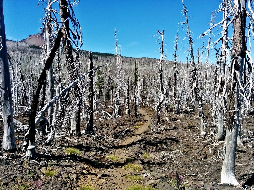PCT je jedna z nejdel��ch turistick�ch tras na sv�t�!