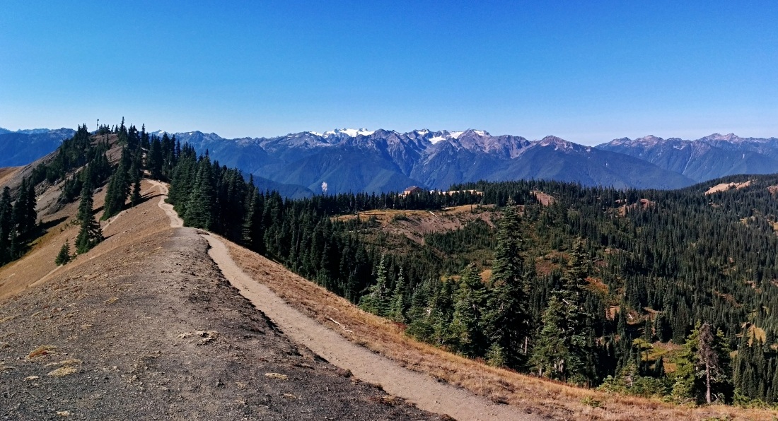 PCT je jedna z nejdel��ch turistick�ch tras na sv�t�!