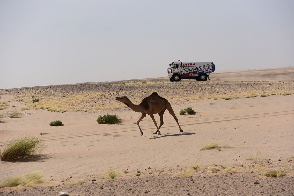 Po stop�ch z�vodu Pa�� -Dakar