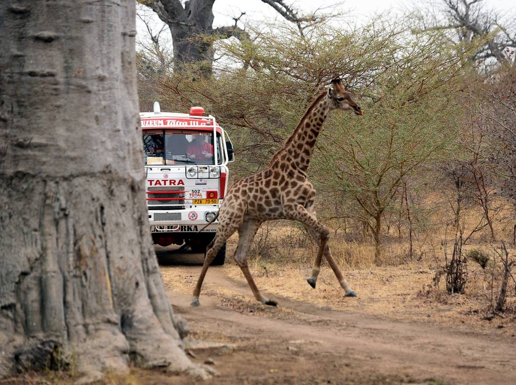 Po stop�ch Rallye Pa�� Dakar