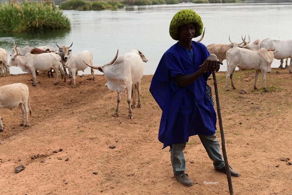 Po stop�ch Rallye Pa�� Dakar