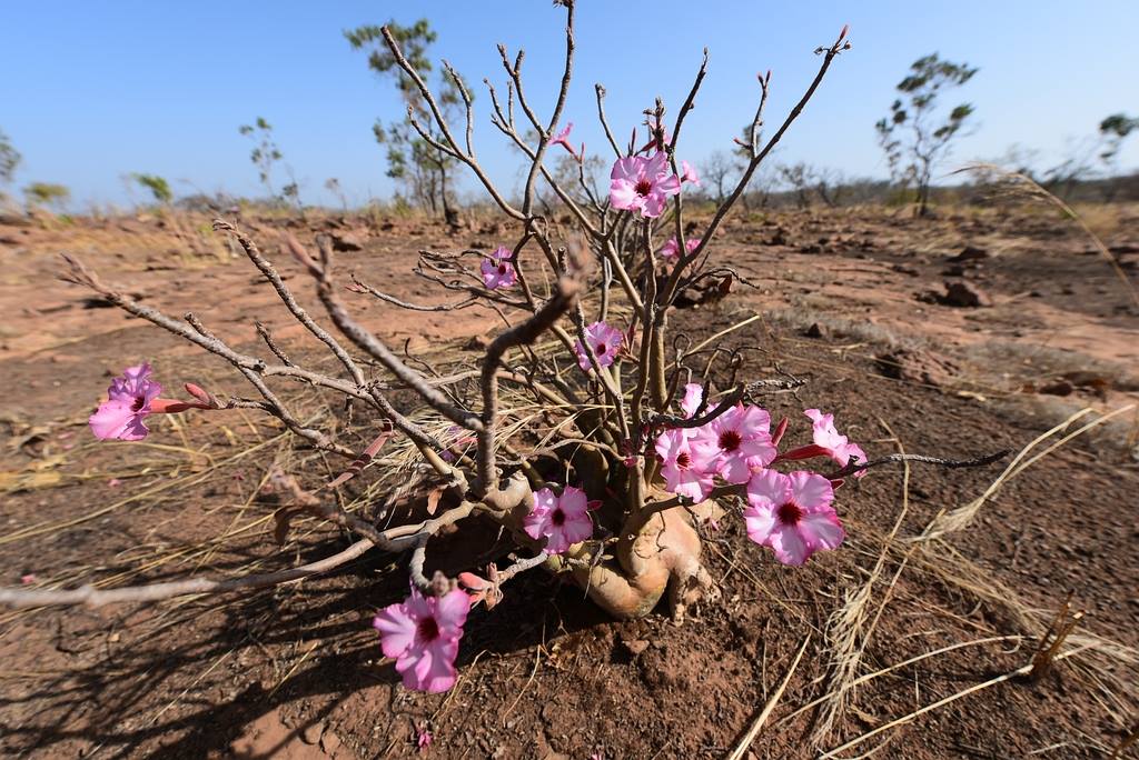 Po stop�ch Rallye Pa�� Dakar