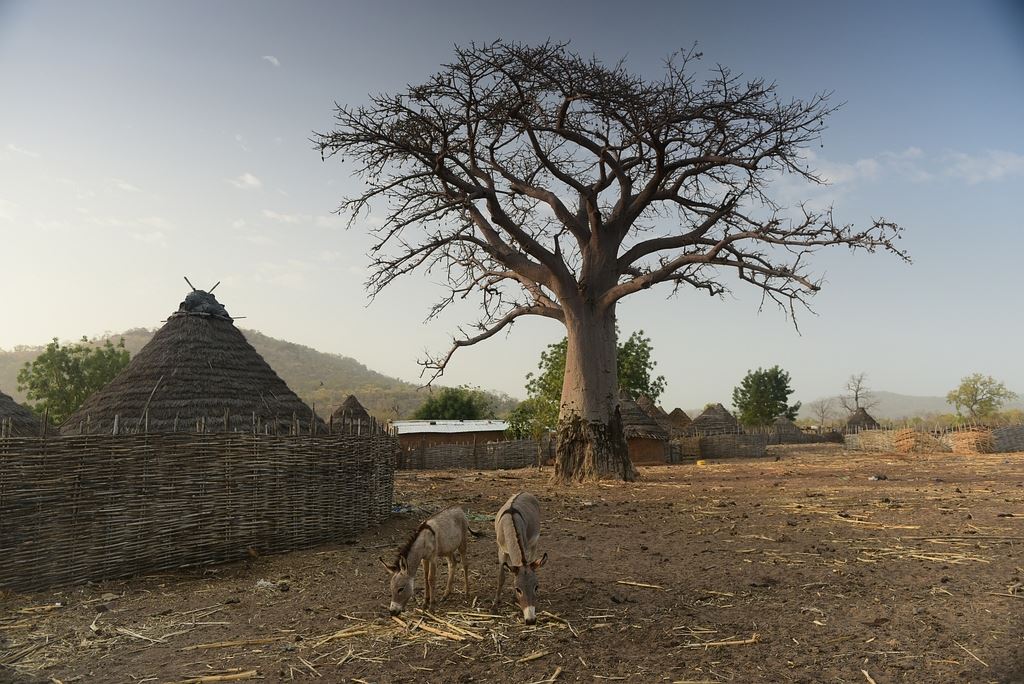 Po stop�ch Rallye Pa�� Dakar