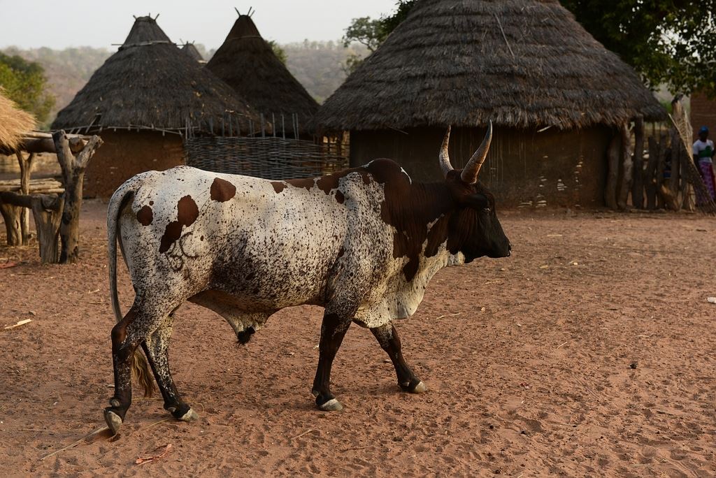 Po stop�ch Rallye Pa�� Dakar