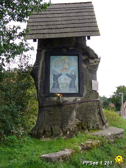 P1000379.jpg