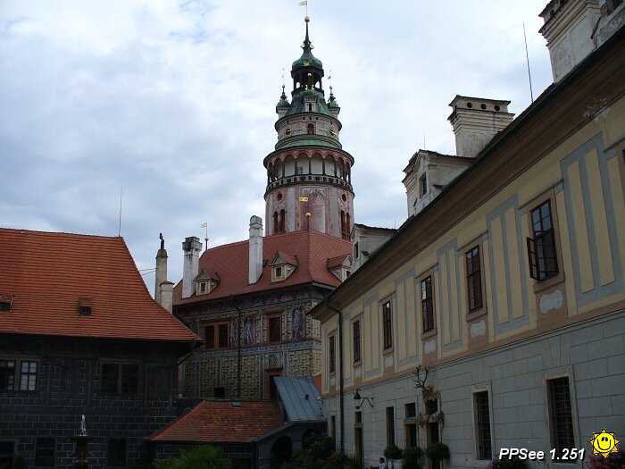 P1000400.jpg