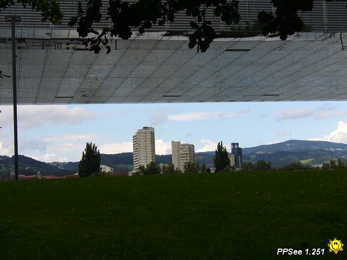 P1000439.jpg