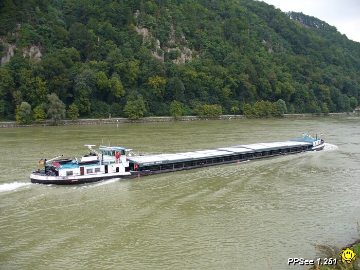 P1000467.jpg