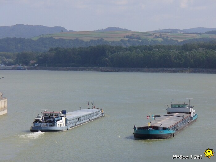 P1000474.jpg