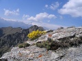 IMG_8235_.jpg