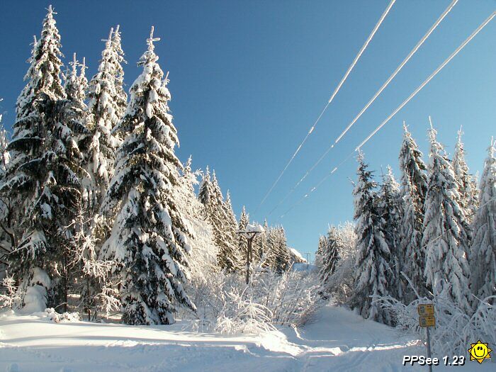 PICT4681.jpg