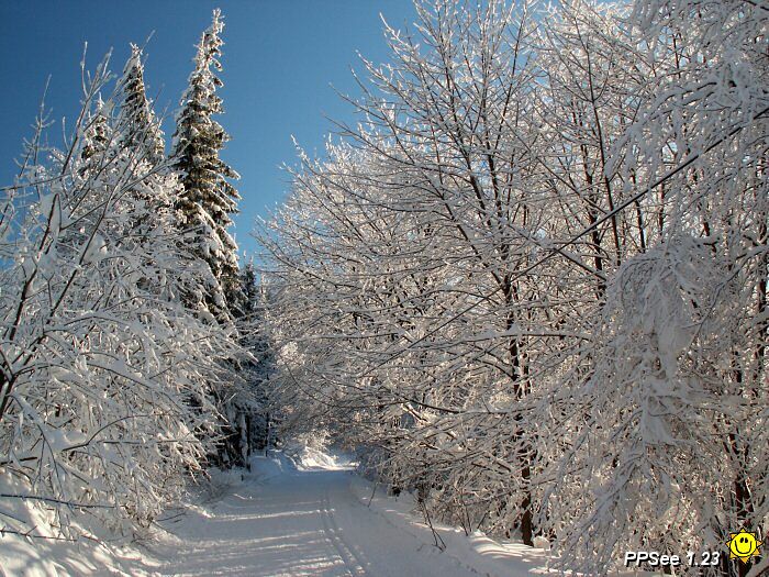PICT4684.jpg