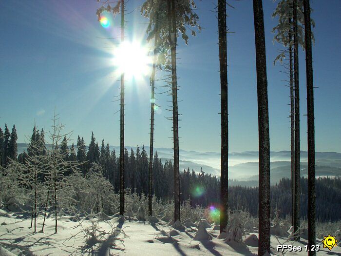 PICT4688.jpg