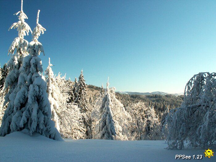 PICT4700.jpg