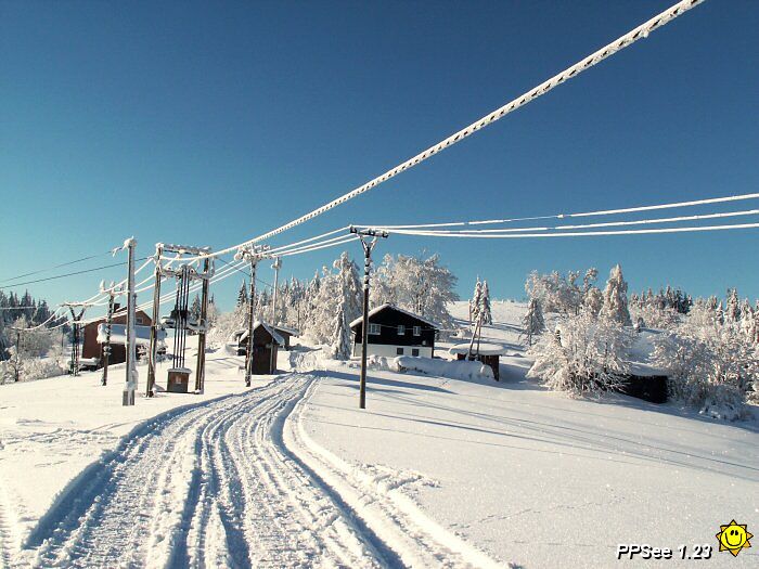 PICT4710.jpg