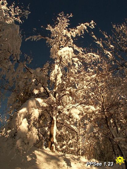 PICT4778.jpg