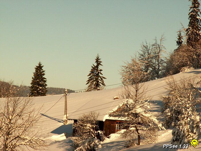 PICT4788.jpg