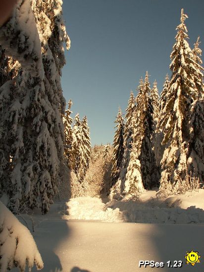 PICT4815.jpg