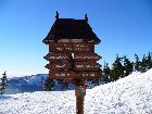 P1020356_.jpg
