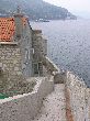 P1010585_.JPG