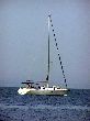 P7300048_.jpg