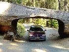 DSC01898_.jpg
