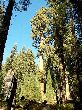 DSC01901c_.jpg