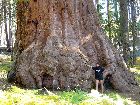 DSC01903_.jpg