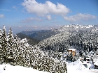 P1030328_.jpg