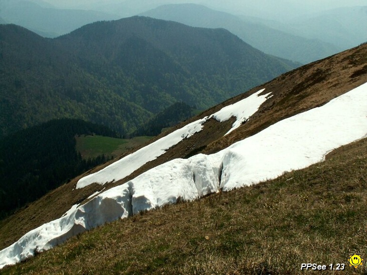 PICT6984.jpg