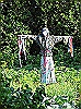 P7210185_.jpg