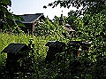 P7210188_.jpg